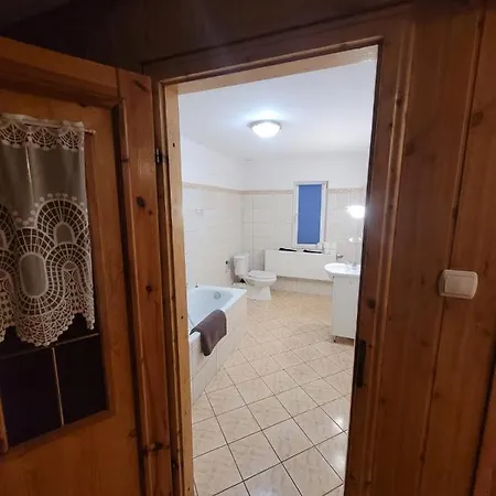 Apartament Leon Niedamirow